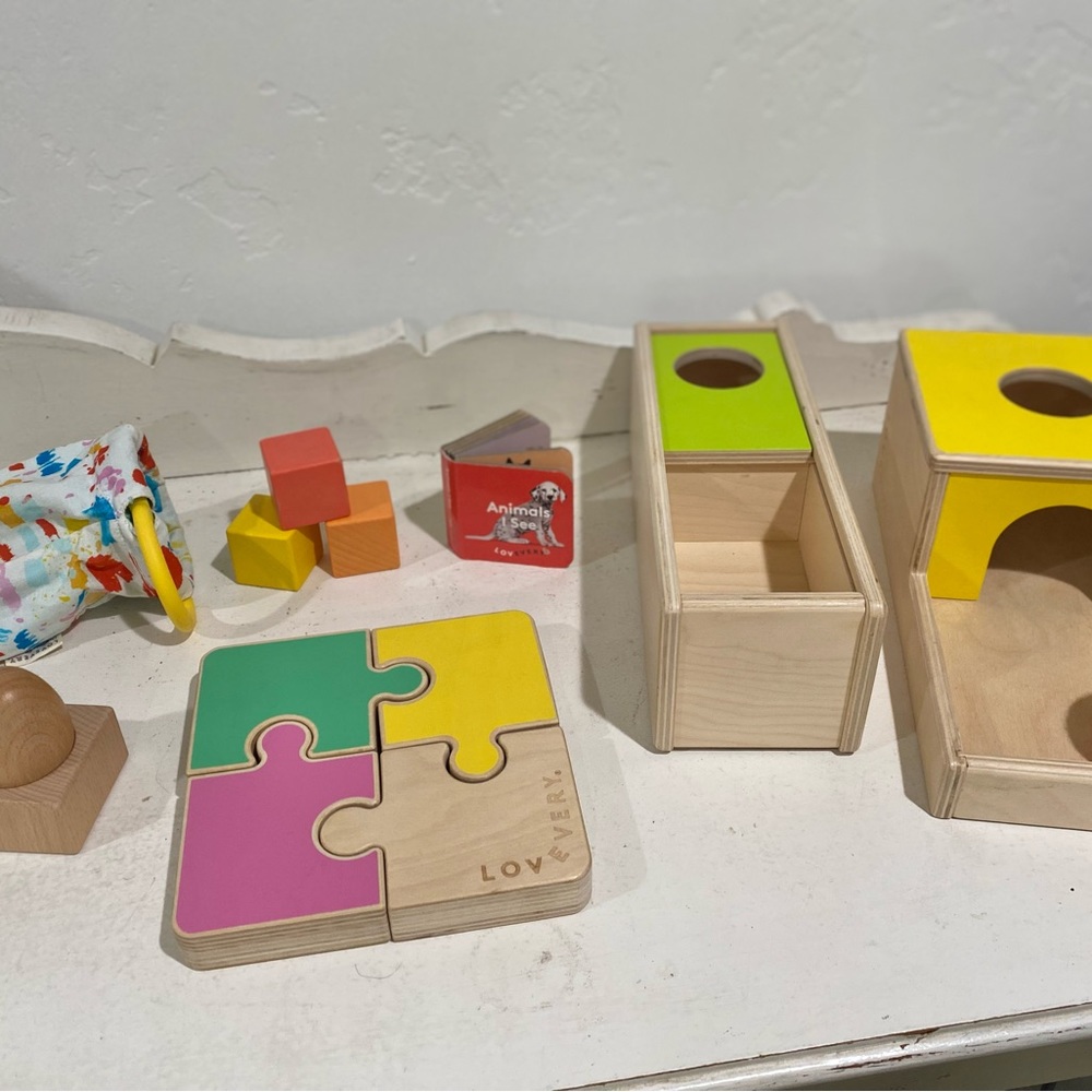 Lovevery toy lot